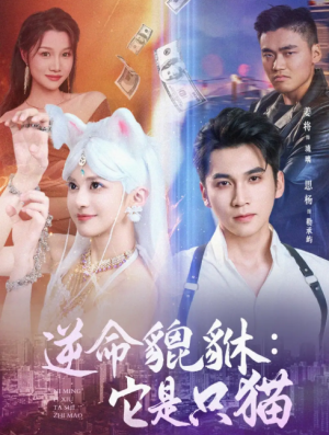 逆命貔貅:它是只猫&逆命貔貅它是只猫(35集)