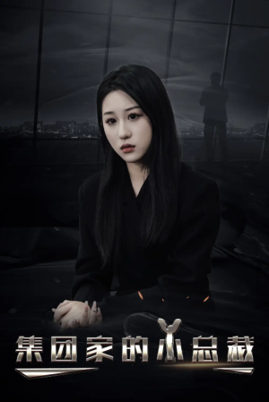 集团家的小总裁（80集）