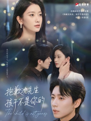 抱歉沈先生孩子不是你的（45集）