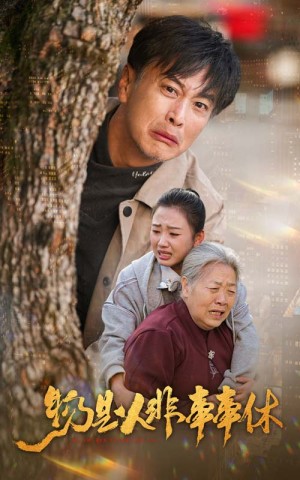 物是人非事事休（41集）