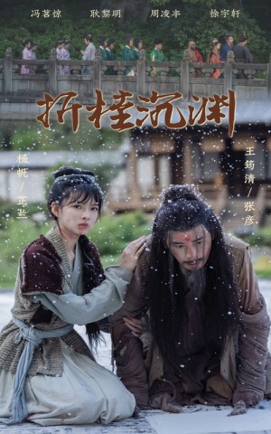 折桂沉渊（60集）