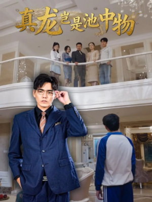 真龙岂是池中物（80集）