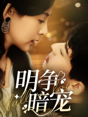 明争暗宠（70集）