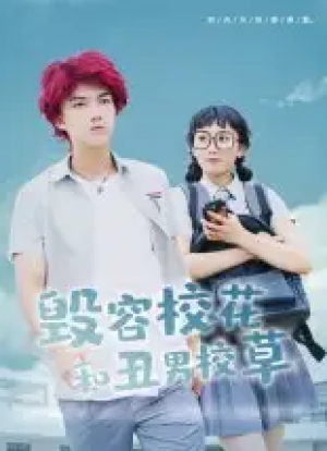 毁容校花和丑男校草（91集）