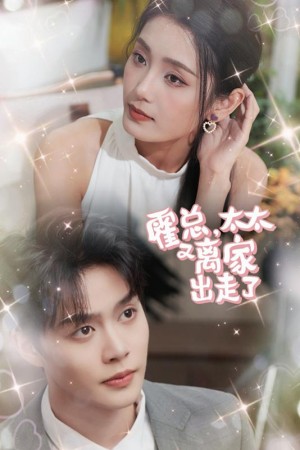 《霍总太太又离家出走了(霍总,太太又离家出走了)》