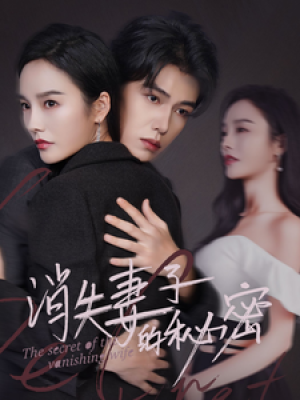 消失妻子的秘密（60集）