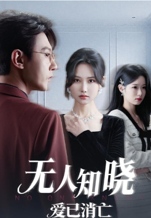 无人知晓爱已消亡（52集）