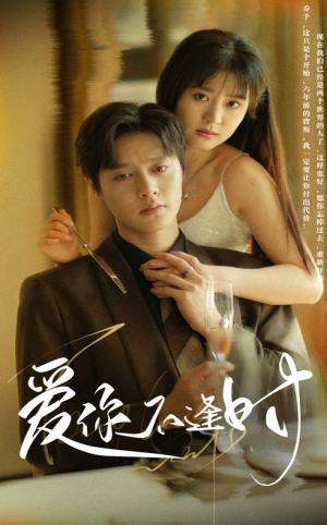 爱你不逢时(91集)