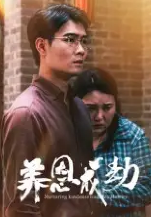 养恩成劫(30集)