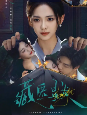 藏匿星光(70集)
