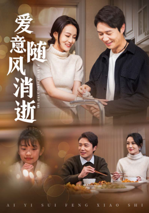 爱意随风消逝（47集）