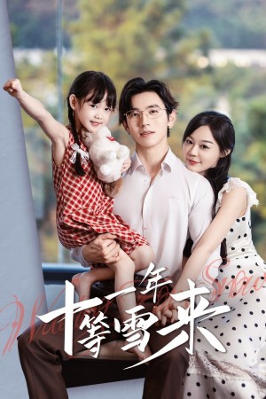 十一年等雪来（50集）