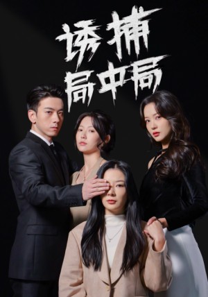 诱捕局中局（夜色暗涌）（42集）