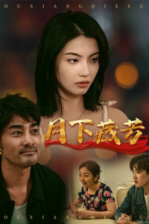 月下藏芳（62集）