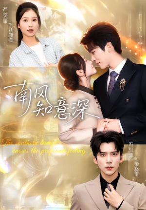 南风知意深（40集）