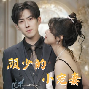 顾少的小宠妻（90集）