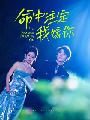 命中注定我嫁你（39集）