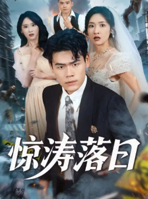 惊涛落日（60集）