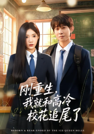 刚重生我就和高冷校花追尾了（80集）