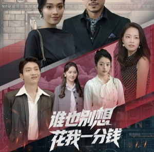 谁也别想花我一分钱（82集）