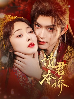 请君夺娇（71集）