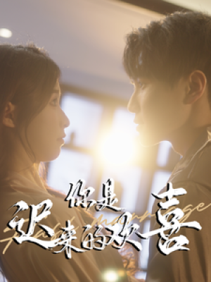 你是迟来的欢喜（78集）