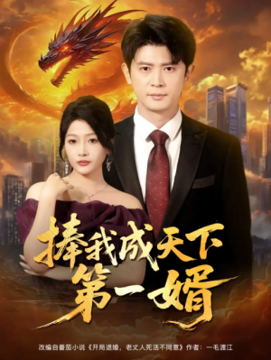 捧我成天下第一婿（80集）