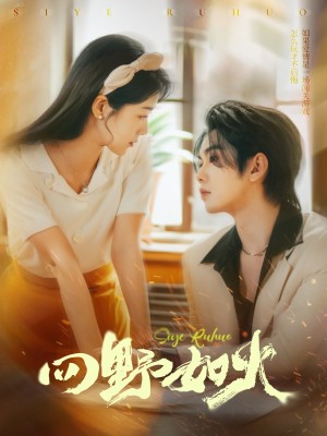 四野如火（79集）