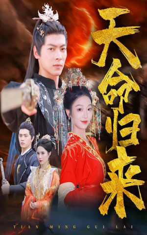 天命归来（60集）