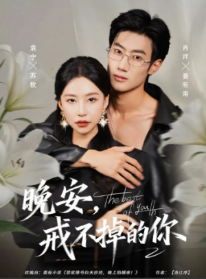 晚安，戒不掉的你（68集）