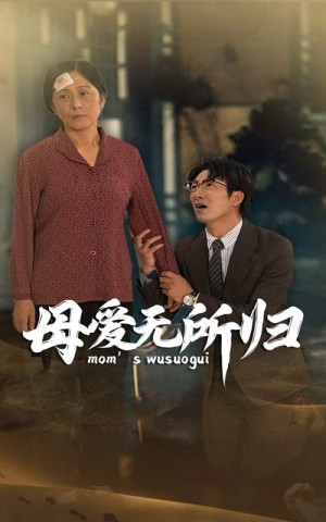 《母爱无所归》(33集)
