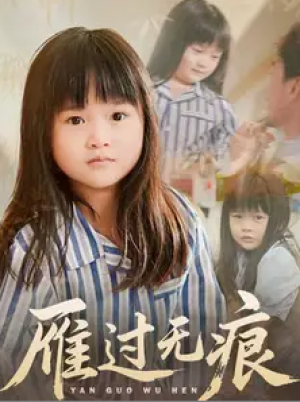 雁过无痕（64集）