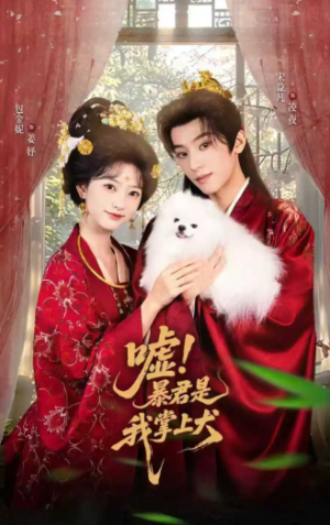 嘘暴君是我掌上犬&废妃逆袭陛下借宠识真心&嘘！暴君是我掌上犬（40集）