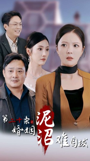 第二十条之婚姻沼泽难自拔（31集）