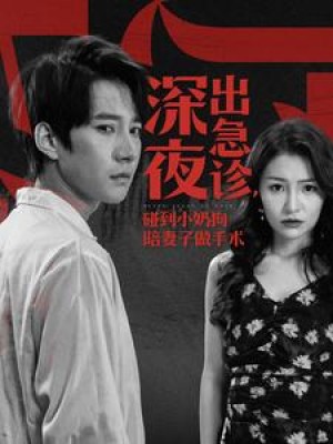 深夜出急诊碰到小奶狗陪妻子做手术（50集）