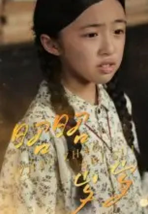 昭昭岁岁（30集）