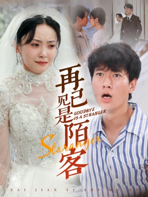 再见已是陌客（归来的星光）（55集）