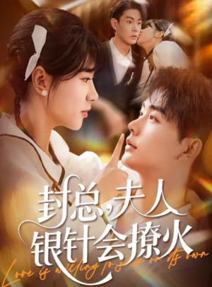 封总夫人银针会撩火（69集）