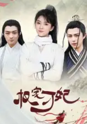 权宠刁妃(17集)