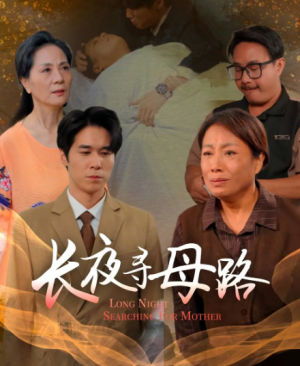 长夜寻母路（61集）