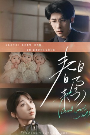 春日来孕＆你比星河璀璨＆坠入温柔月光（60集）