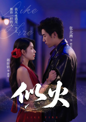 似火（80集）