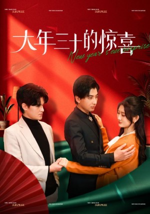 大年三十的惊喜（47集）