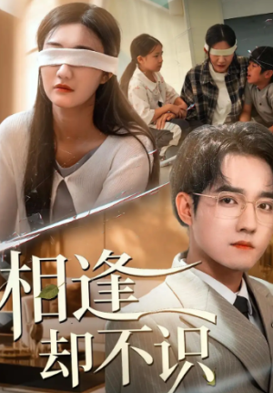 相逢却不识（77集）