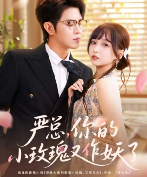 严总你的小玫瑰又作妖了(77集)