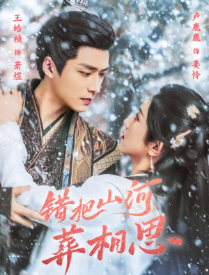 错把山河葬相思（60集）