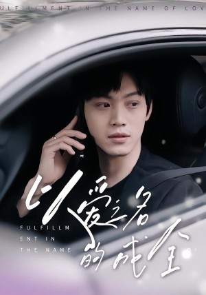 以爱之名的成全（14集）