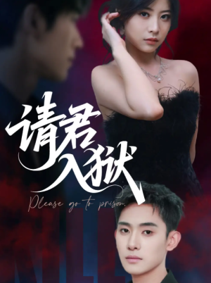 请君入狱（31集）