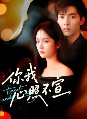 你我心照不宣（75集）