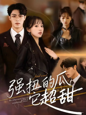 强扭的瓜它超甜（70集）
